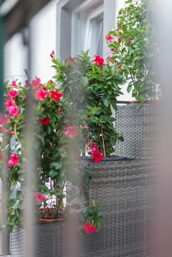 Orchideen Apartment 빌라흐 외부 사진